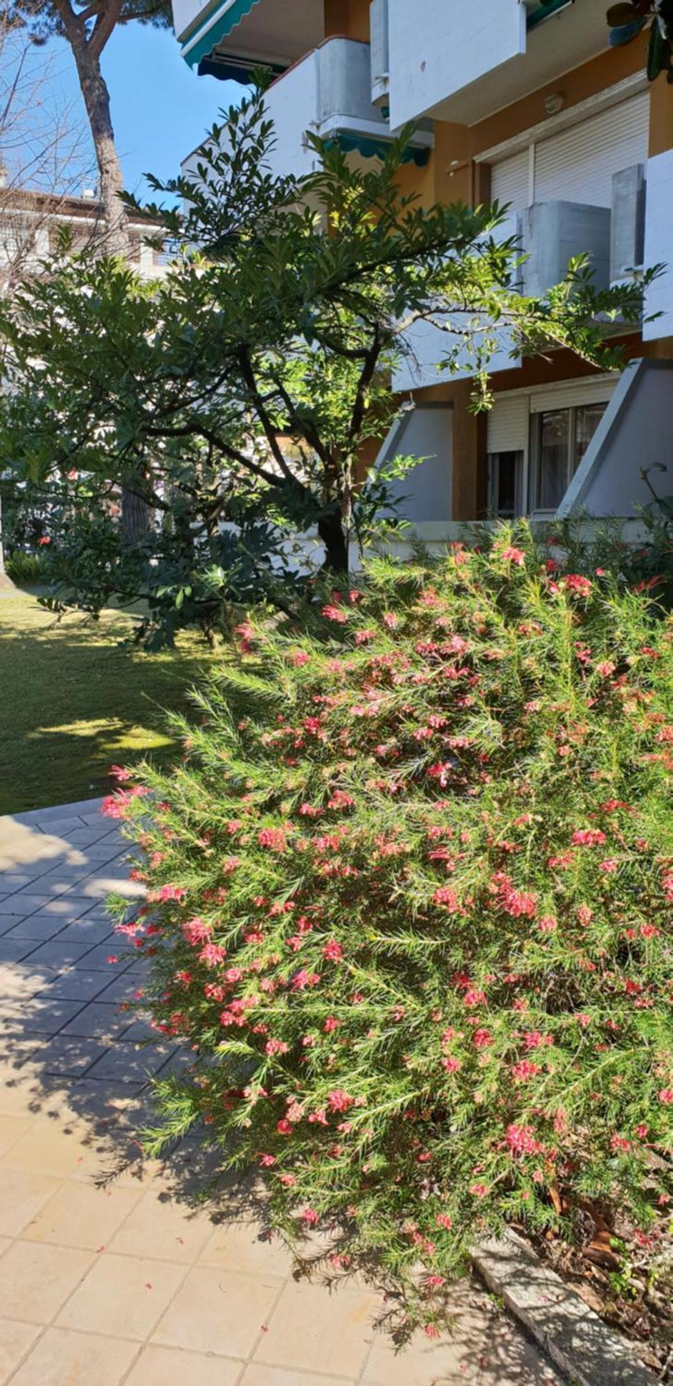 Versilia Apartment Форте-дей-Мармі Екстер'єр фото